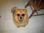 IMG 4759